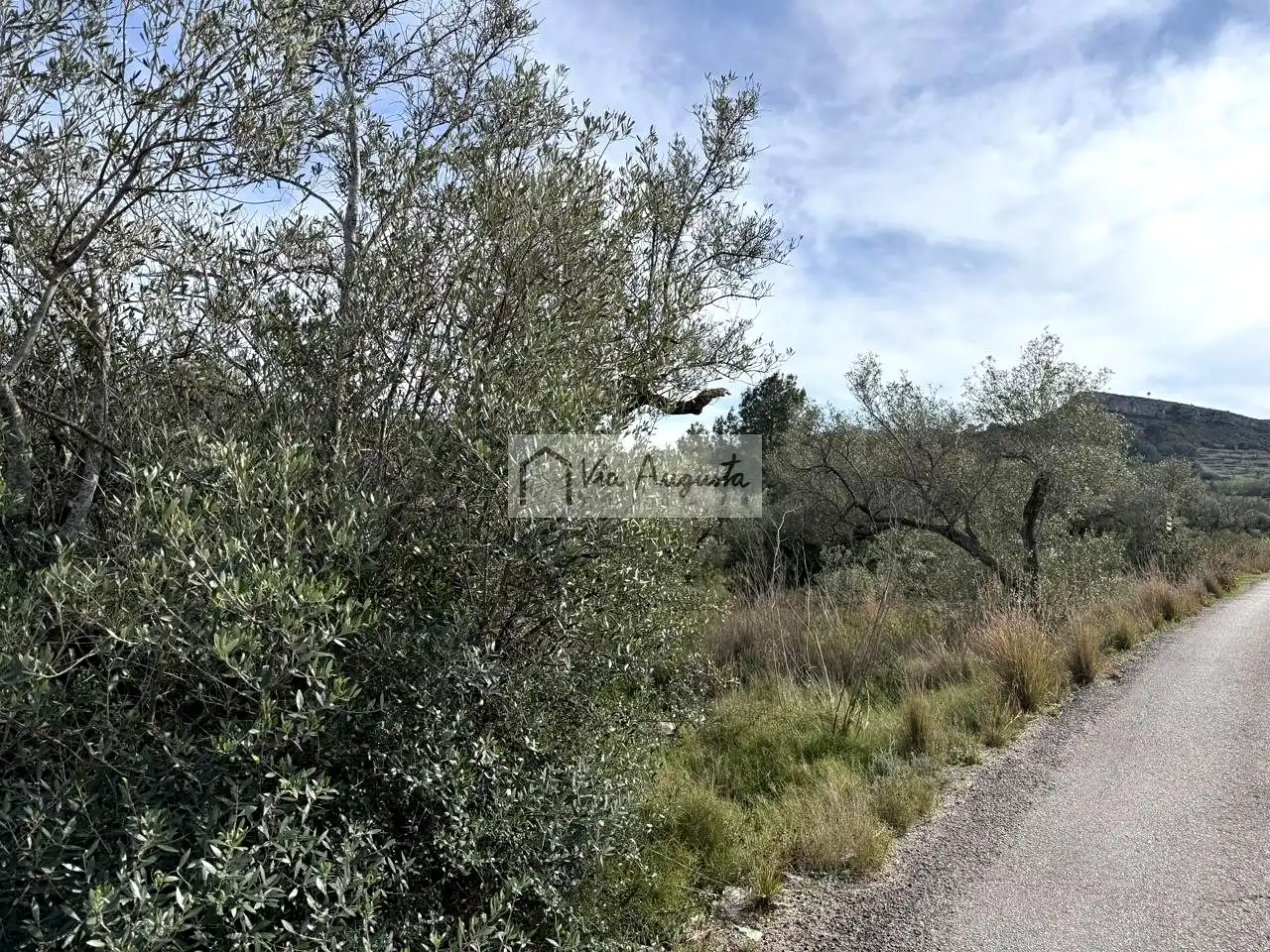 Terreno rustico in vendita a oliveres, imagen 5