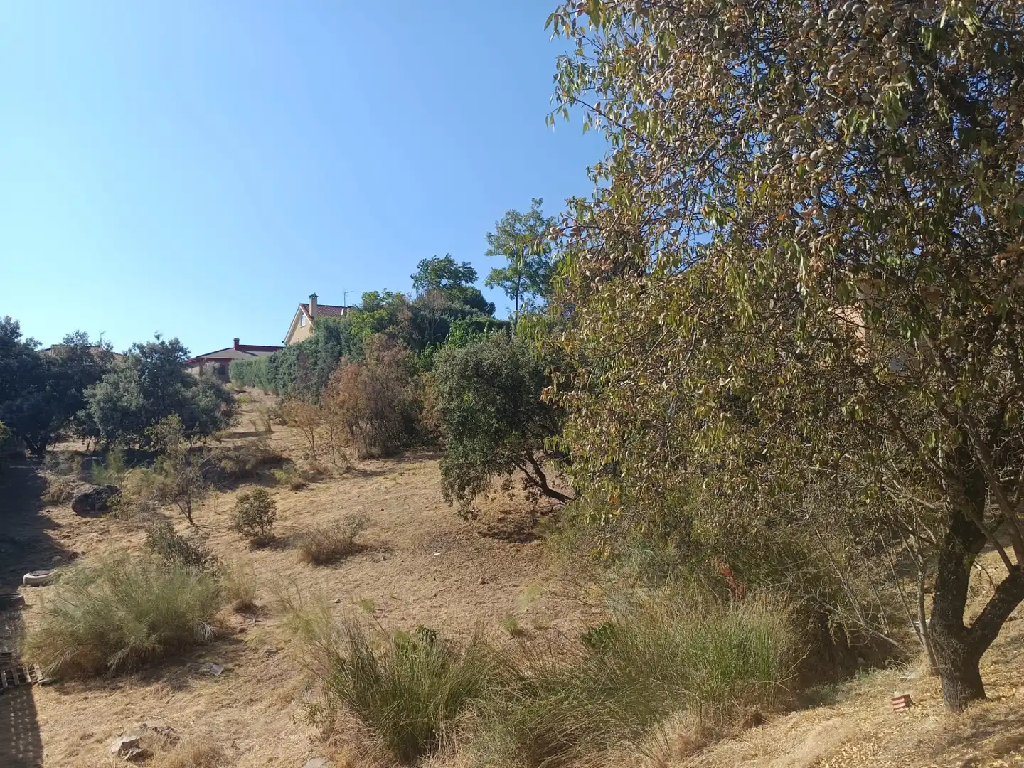 Terreny residencial en venda a Calle Puerto de Navacerrada, imagen 8