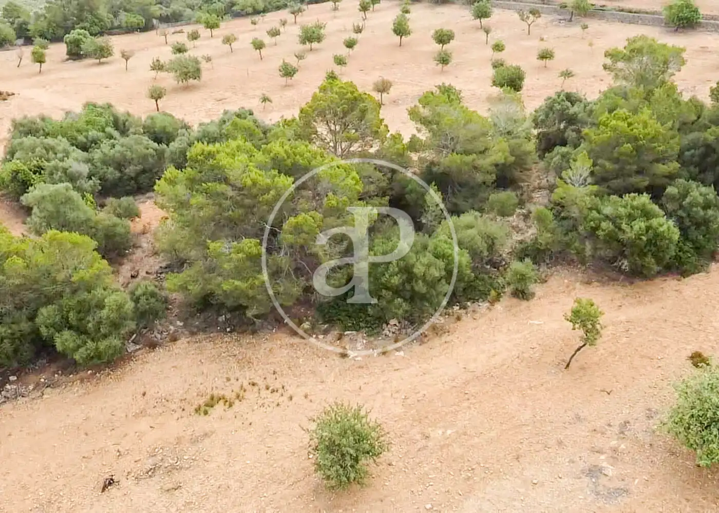 Residencial en venta en Manacor