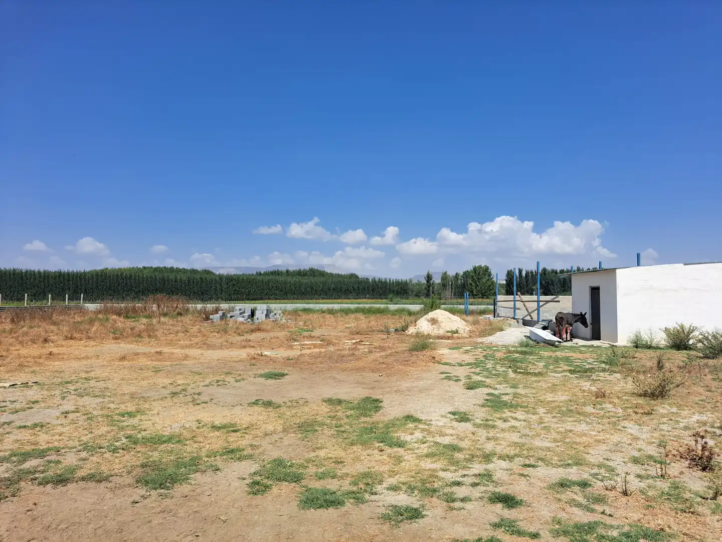 Terrains et parcelles à vendre à Fuente Vaqueros