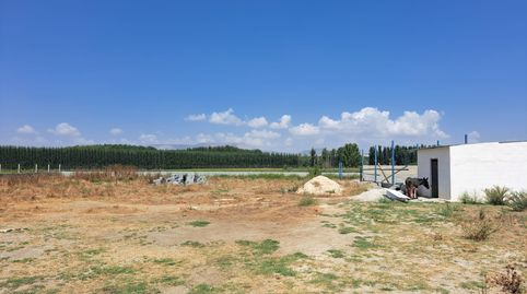 VENTA DE PARCELA RUSTICA EN FUENTE VAQUEROS