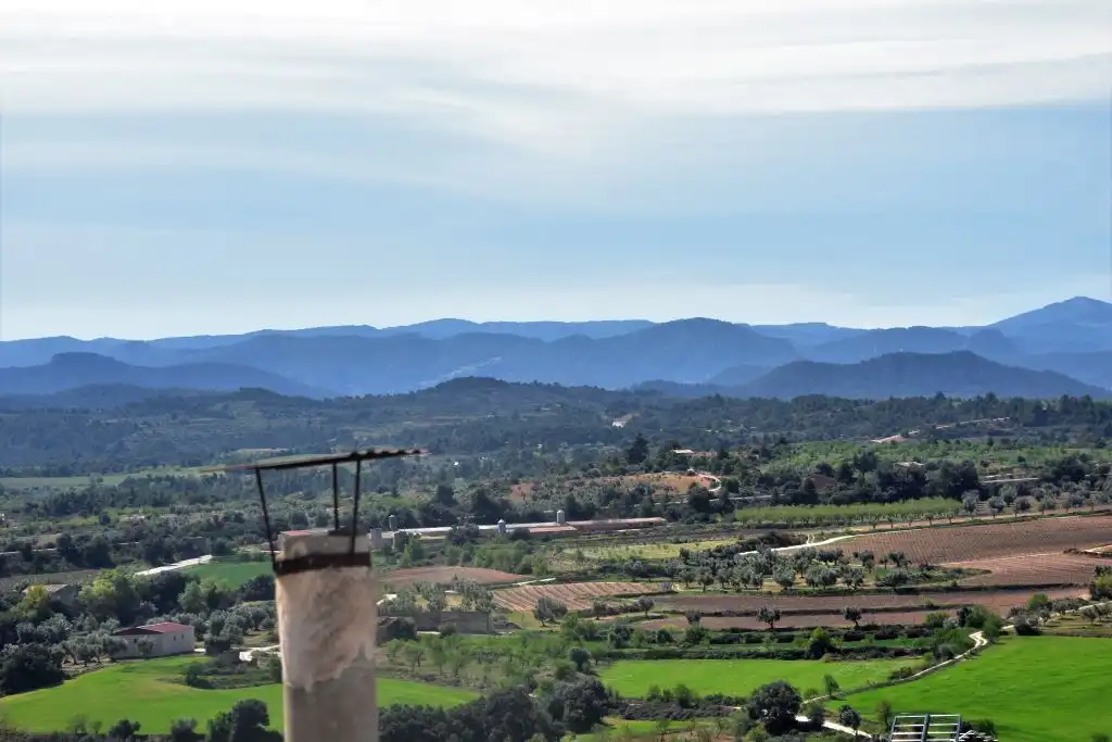 Casa rústica amb terrassa en venda a Cretas, imagen 17