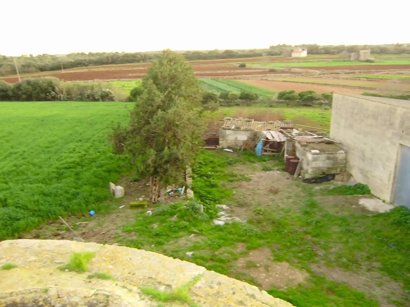 Country house with pool for sale in Muro, imagen 3