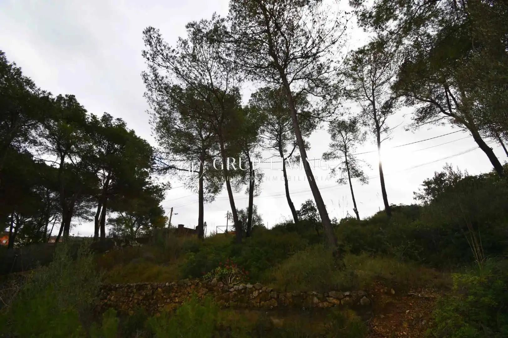 Terreno residencial en venta en Olivella, imagen 10