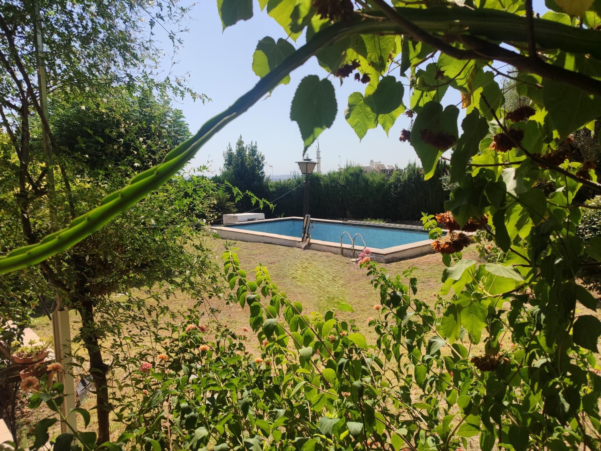 Garden of House or chalet for sale in Tomares  with Private garden, Terrace and Community pool