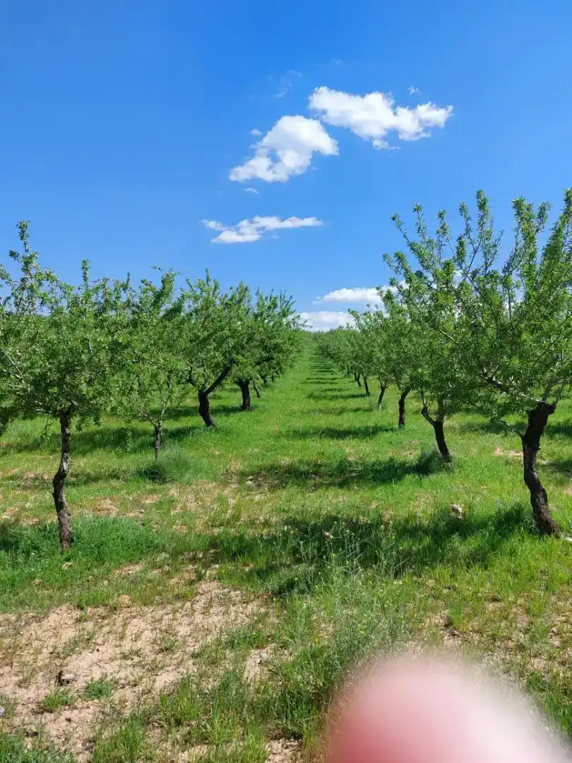 Finca rústica en venda en La Peza