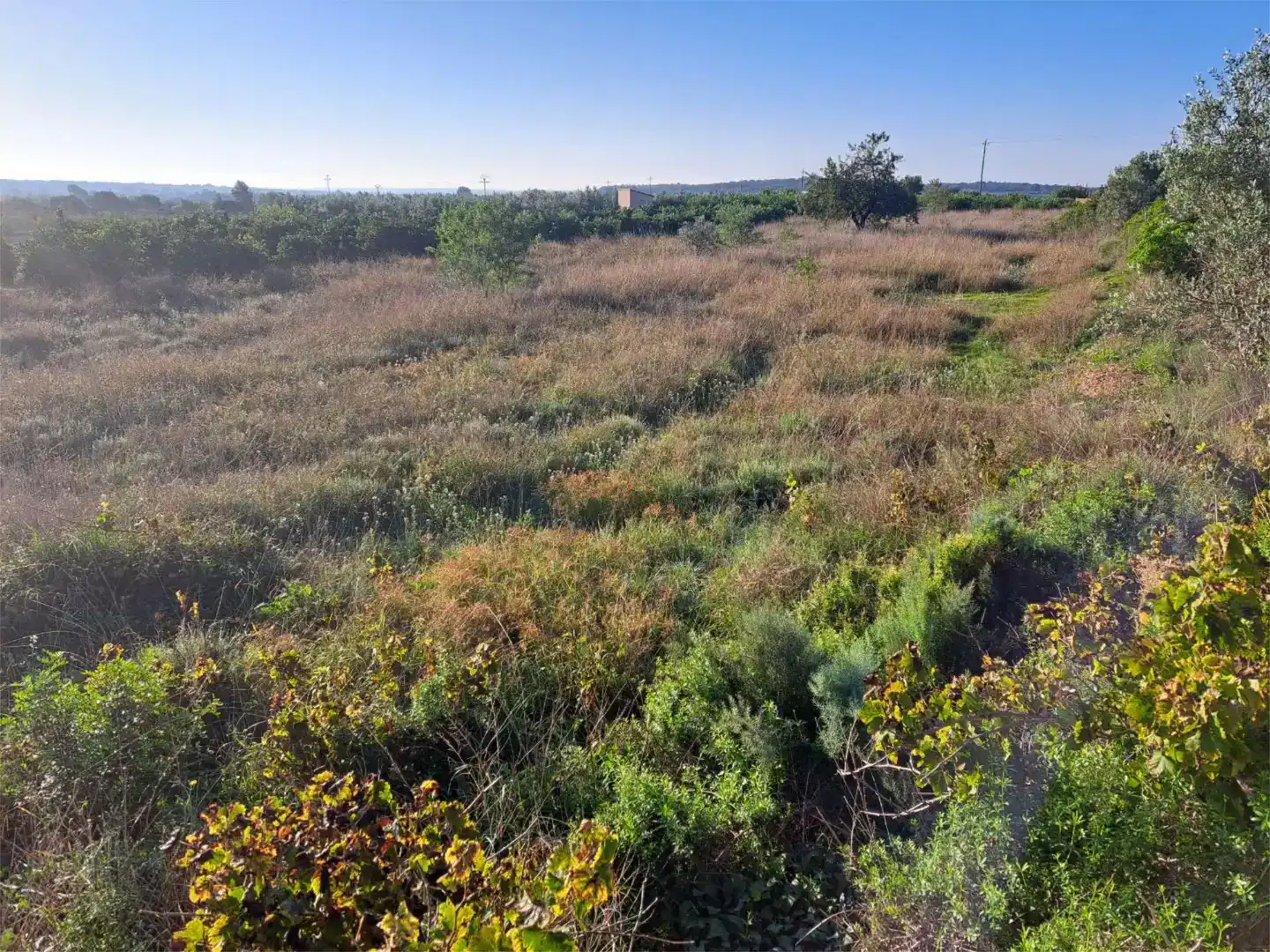 Land for sale in Marines