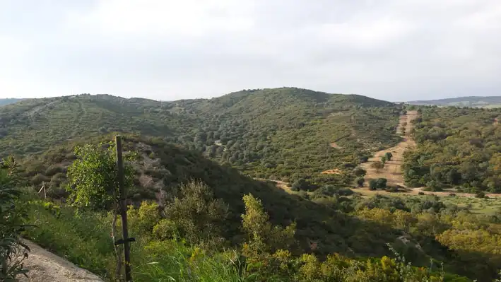 Land for sale in Cádiz