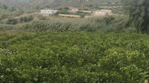 Photo 2 of Land for sale in Sellent, Valencia