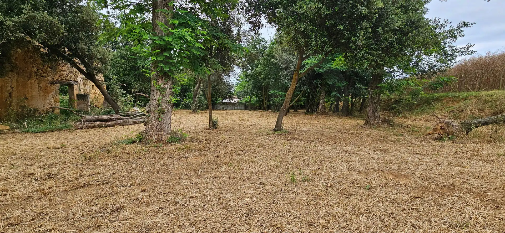 Terreno en venta en Cornellà del Terri