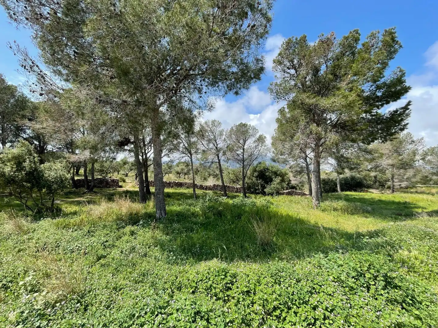 Terrenys i solars en venda a Poble, imagen 7