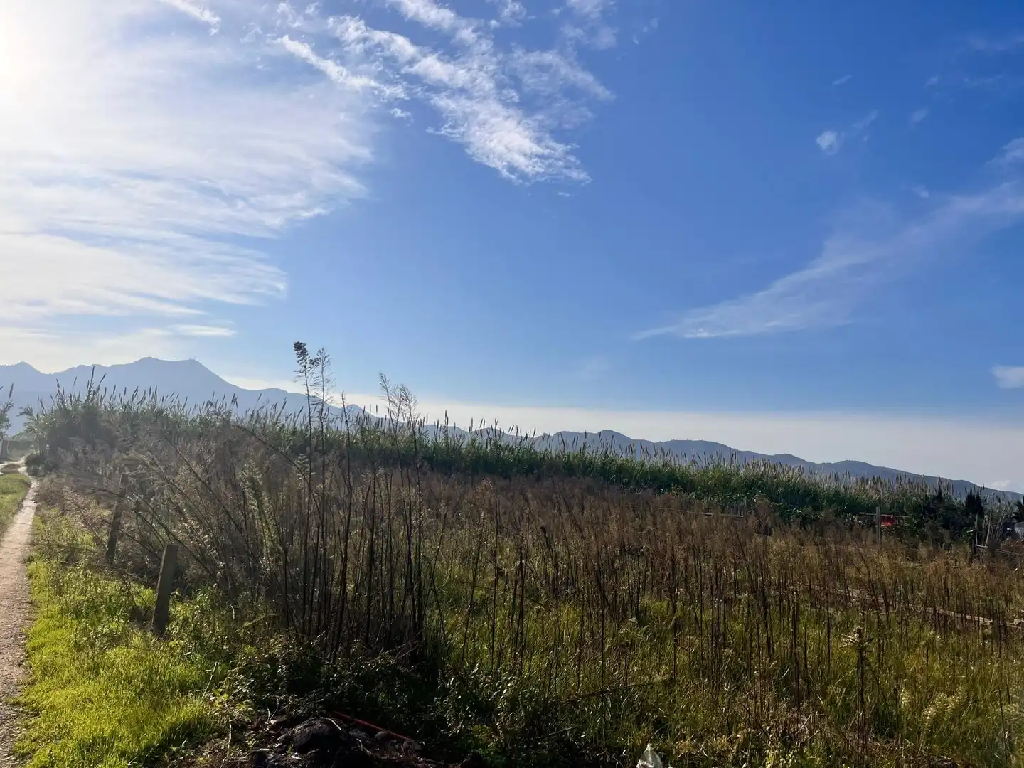 Terreny rústic en venda a Polígono numero 6 542, imagen 7