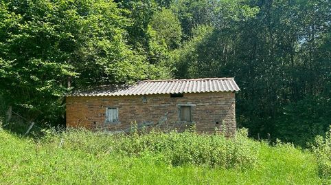 FINCA RÚSTICA CON CUADRA  CERCA DE ARRIONDAS, immagine 5
