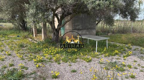 Photo 4 of Land for sale in Partida Almalafa, 12, Parque Geólogo José Royo Gómez, Castellón