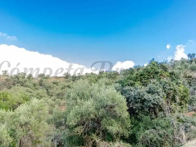 Terreni e lotti in vendita a Salares, imagen 4