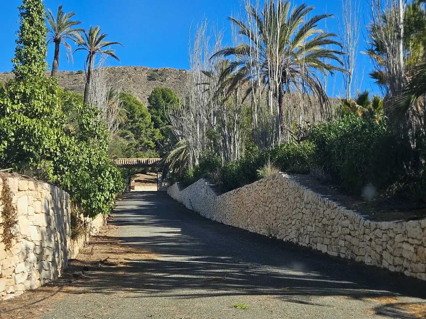 Lands and plots for sale in SERRETA 18