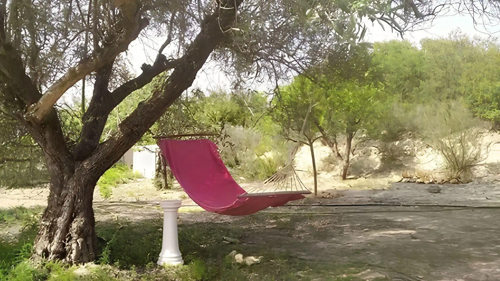 Garden of Houses for sale in Godelleta  with Private garden, Terrace and Furnished