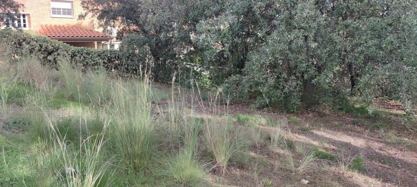 Lands and plots for sale in DE LA CAMELIA 4, imagen 3
