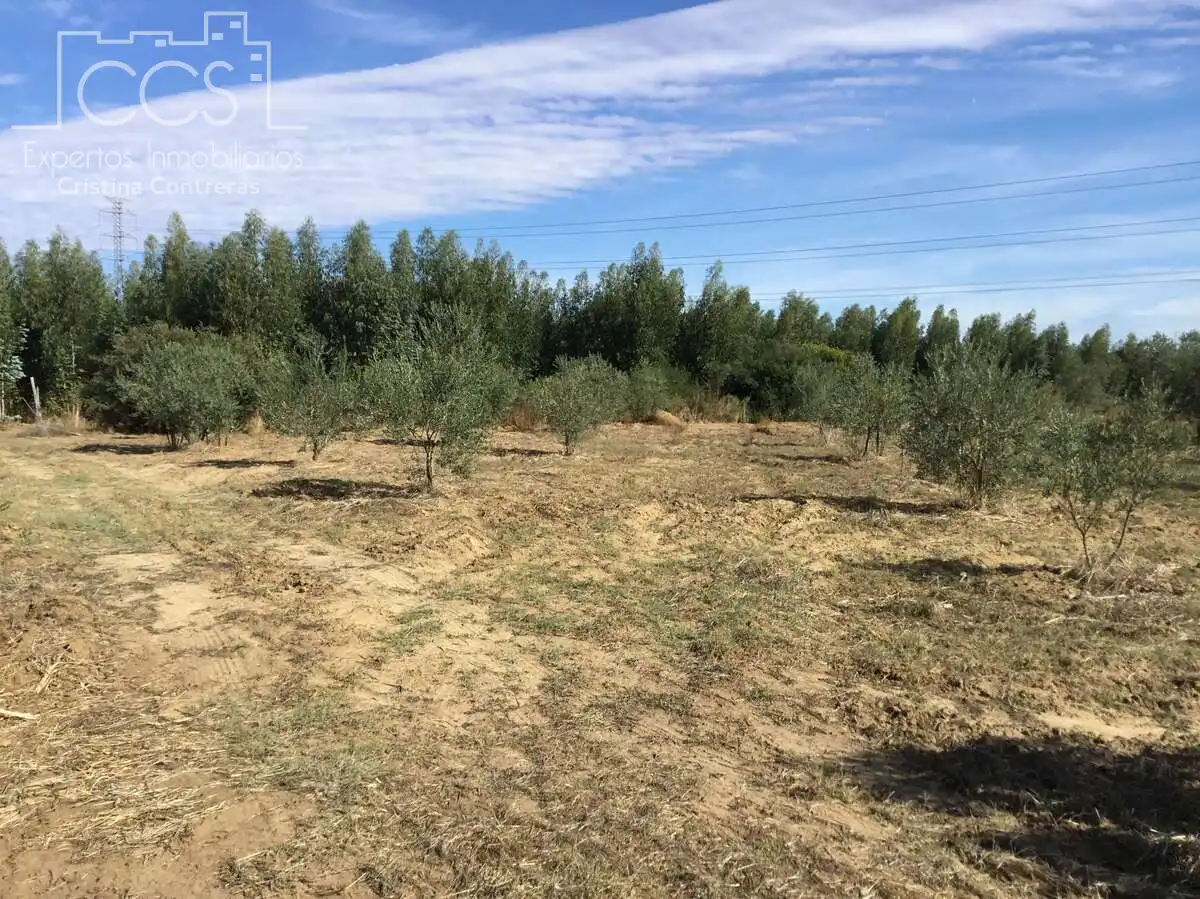 Country house for sale in Almonte ciudad, imagen 55