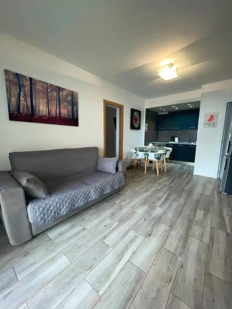 Apartamento con piscina en alquiler en Calle Montañita, imagen 12