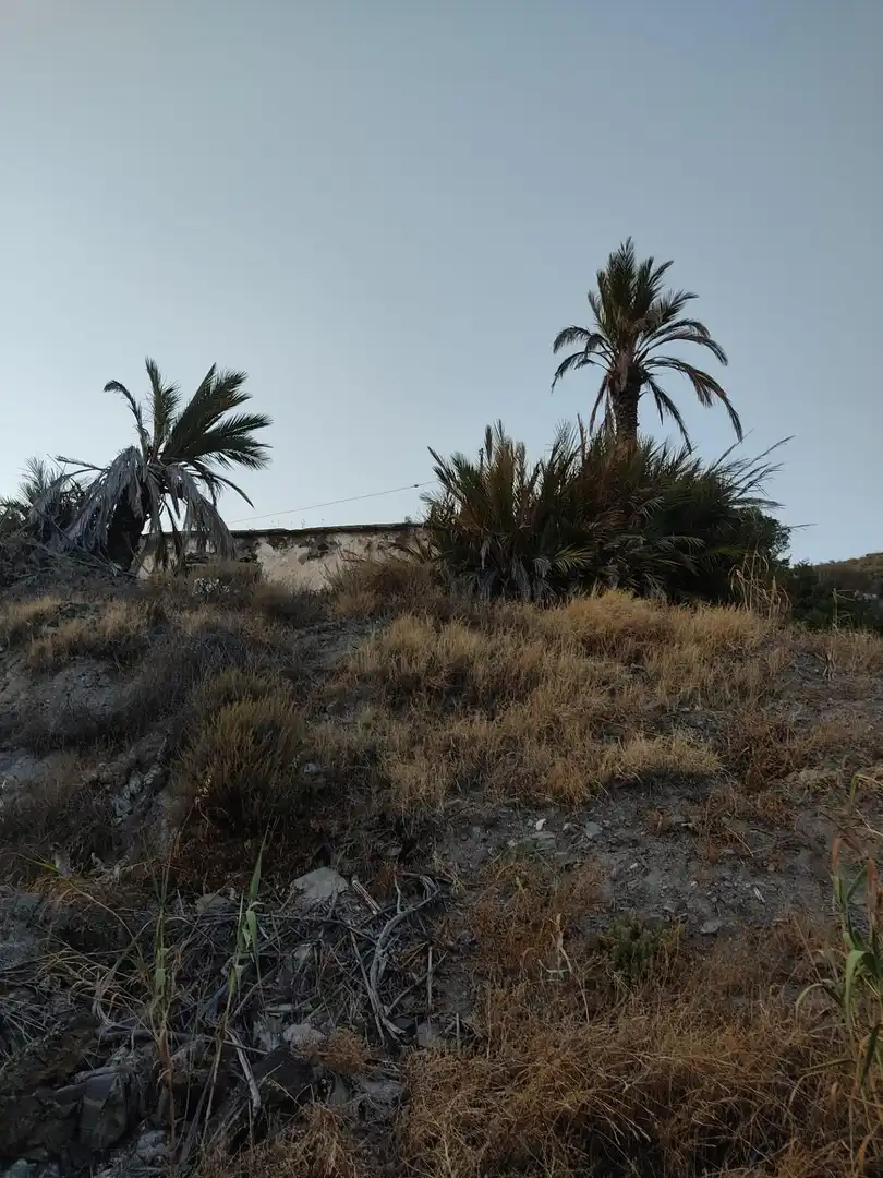 Terrenys i solars en venda a REAL (MEL), imagen 24