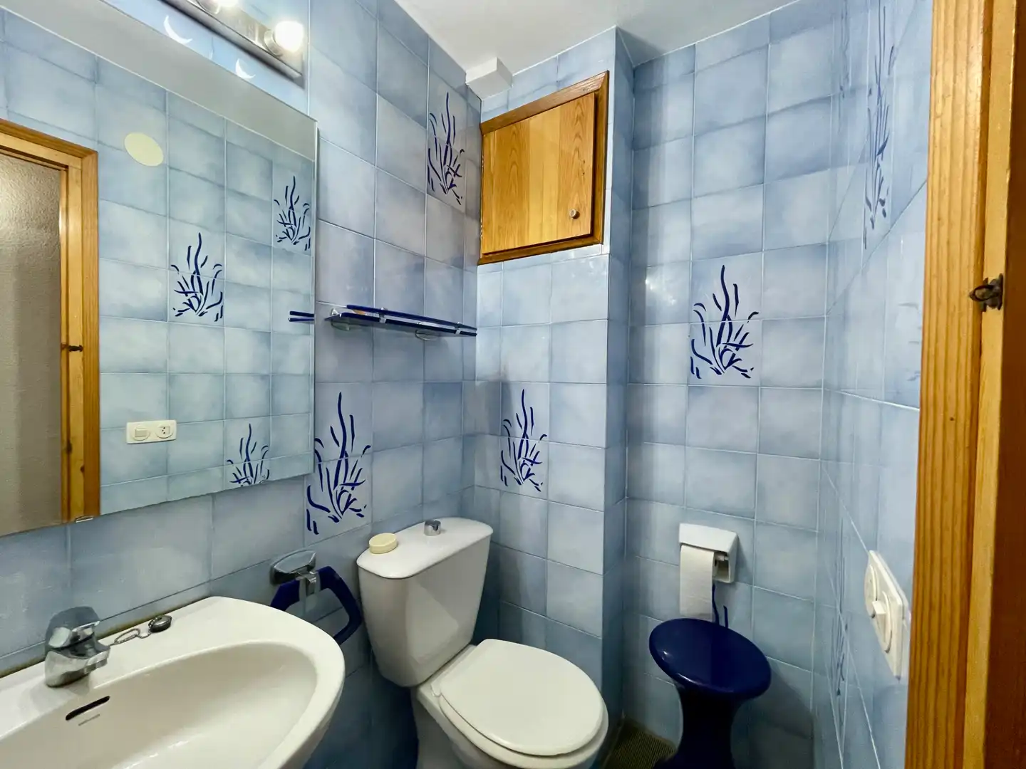 Baño de Ático en venta en Setcases con Calefacción, Terraza y Amueblado