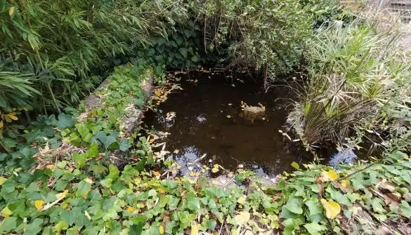 Wohnbaugrundstück zum Verkauf in Corbera de Llobregat, imagen 12