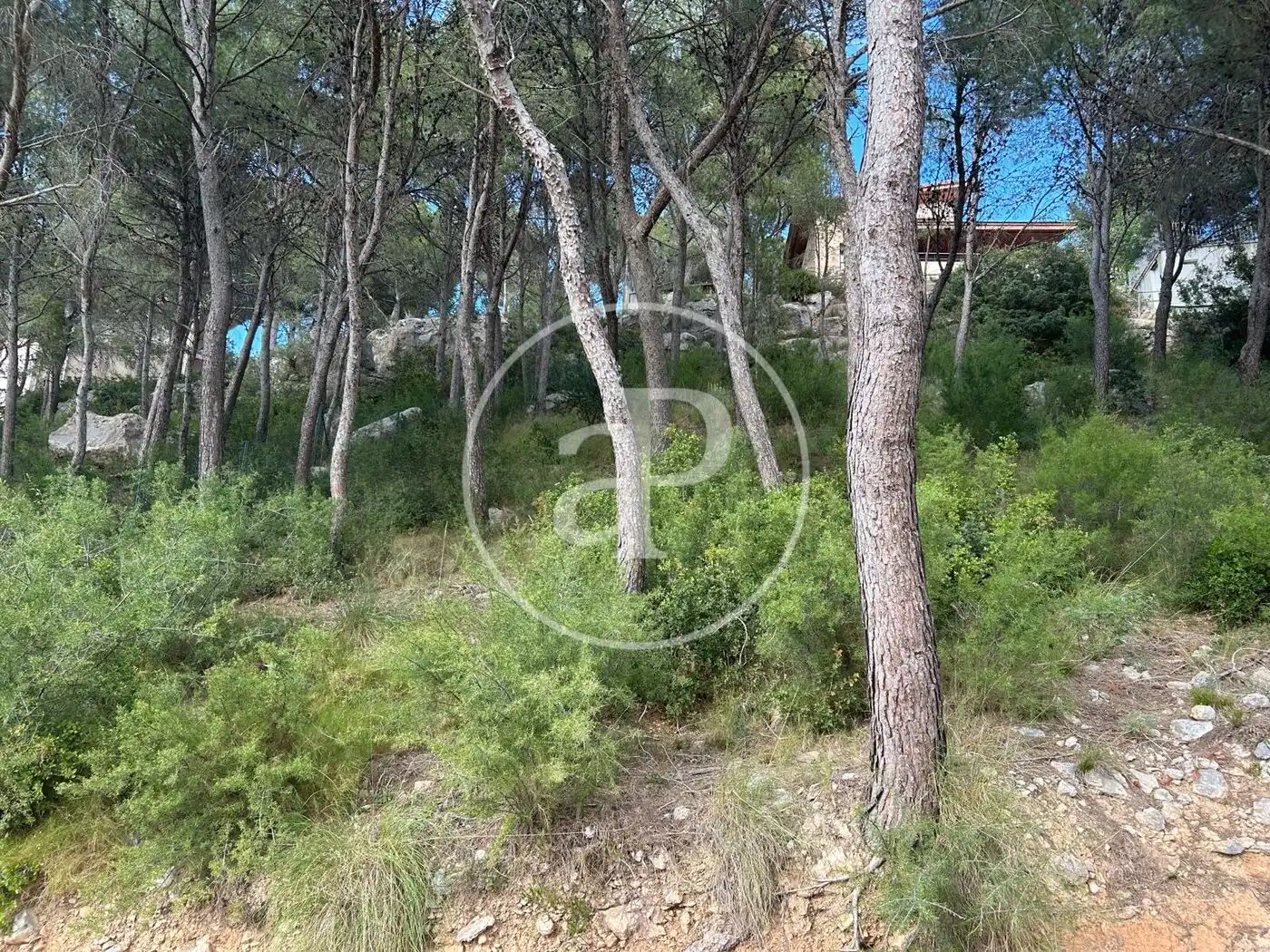 Wohnbaugrundstück zum Verkauf in El Bosque, imagen 7