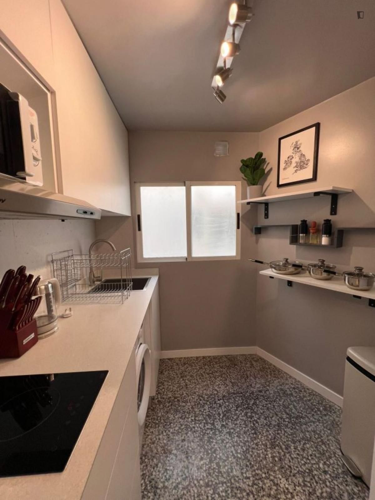 Cuina de Apartament de lloguer en  Valencia Capital amb Moblat, Forn i Rentadora