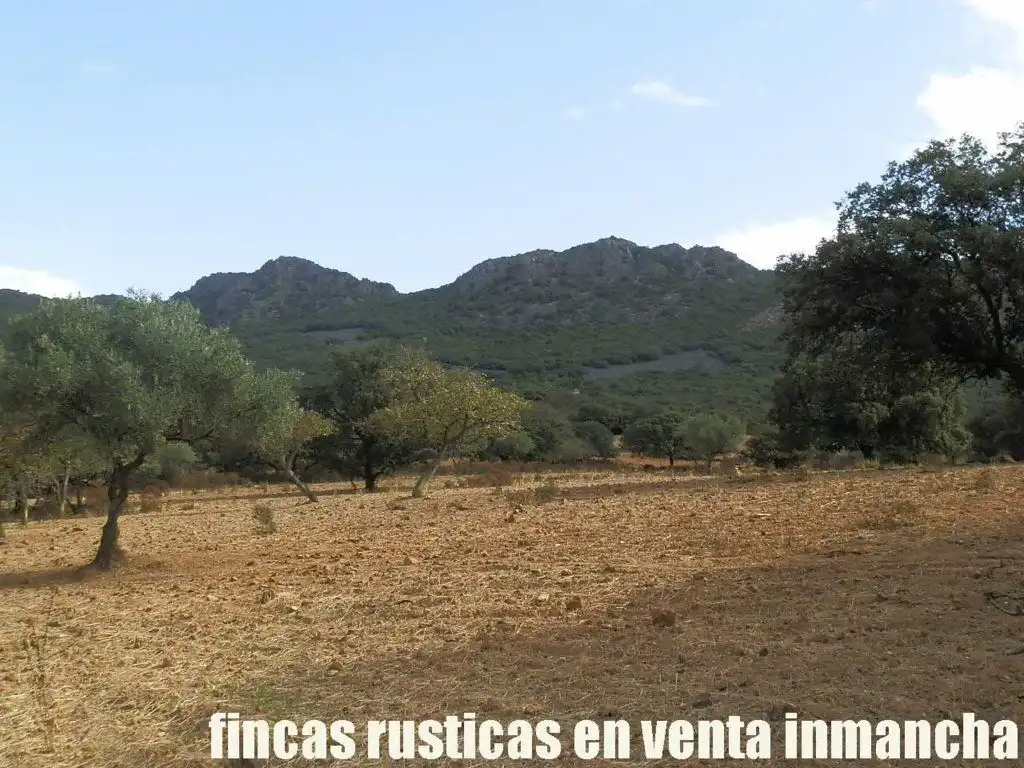 Terreni e lotti in vendita a Peñalsordo, imagen 9