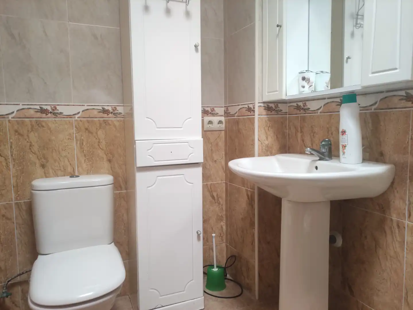 Bathroom of Detached homes for sale in Roquetas de Mar  with Terrace and Furnished
