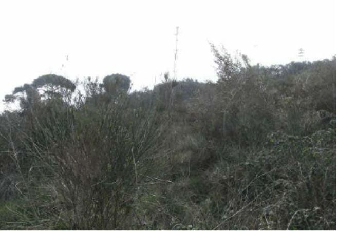Terreno en venta en Montcada i Reixac