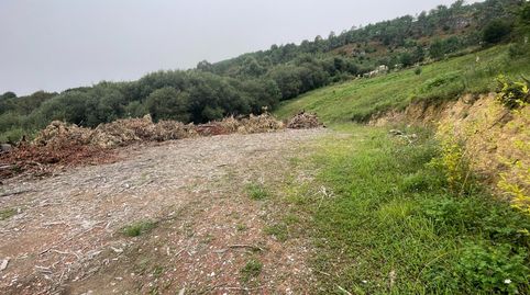 Terreno amplio de 65.000 m2 es en su gran mayoria monte., immagine 3