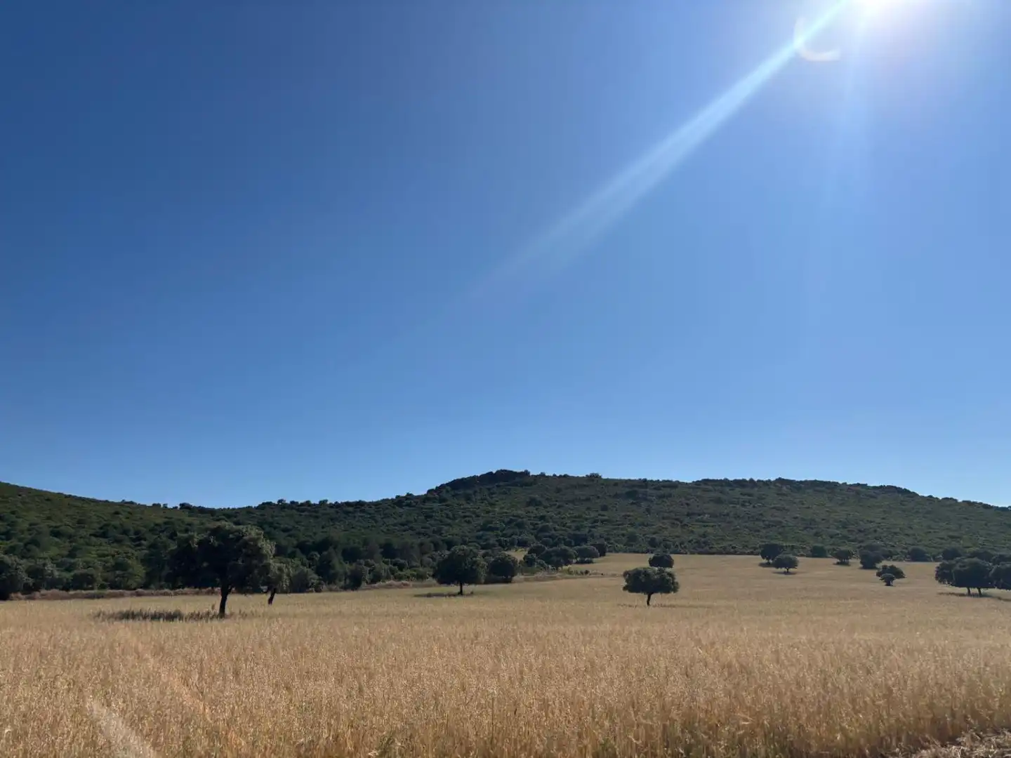 Finca rústica en venda en Ciudad Real