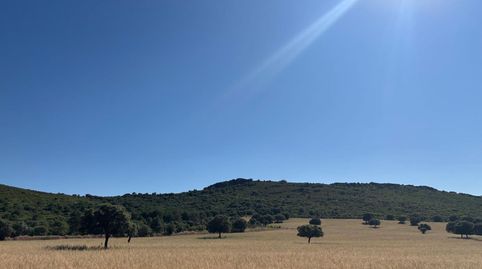Foto 5 de Finca rústica en venda a Área Rural-Valverde-Las Casas, Ciudad Real Capital