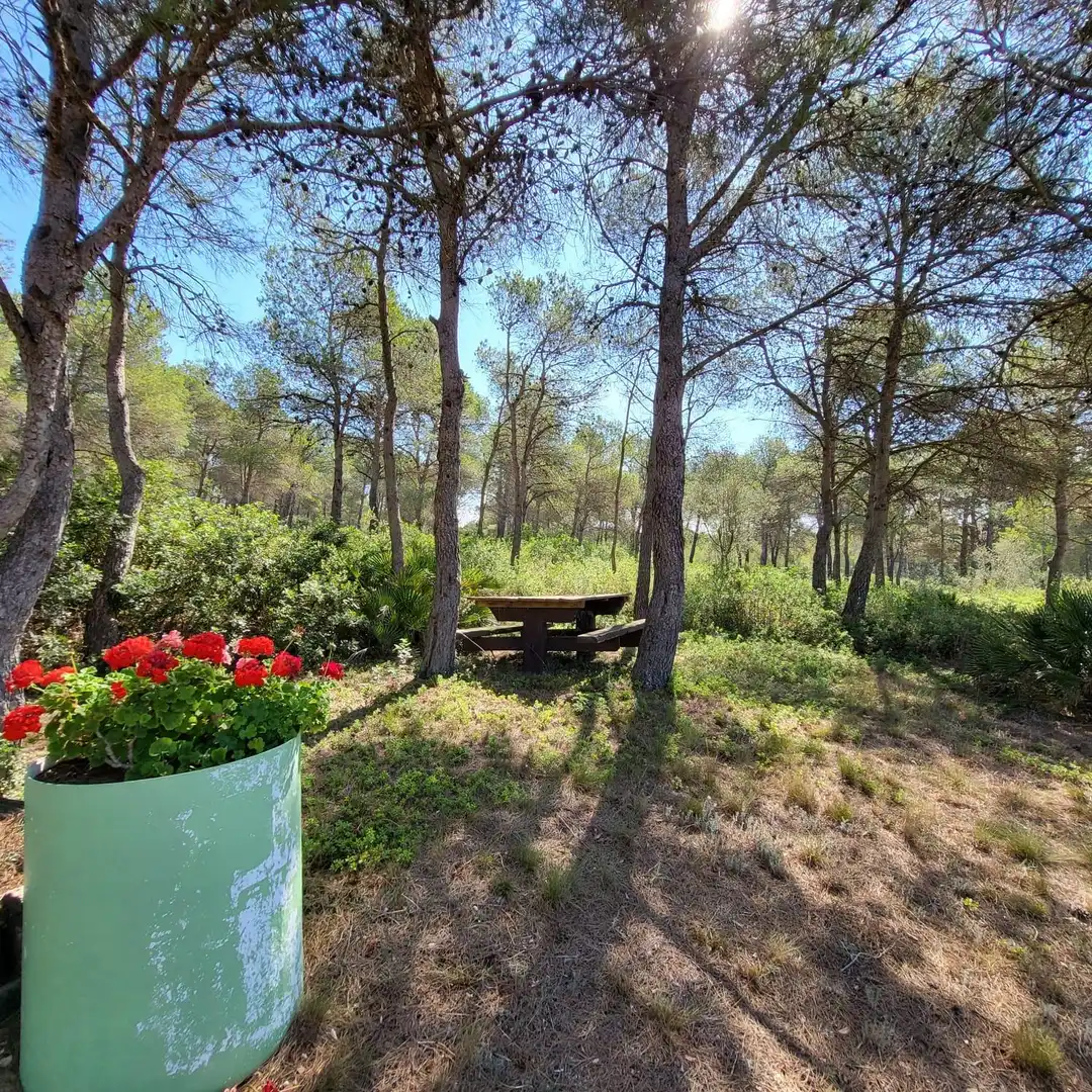 Casa rústica con piscina en venta en El Perelló, imagen 27