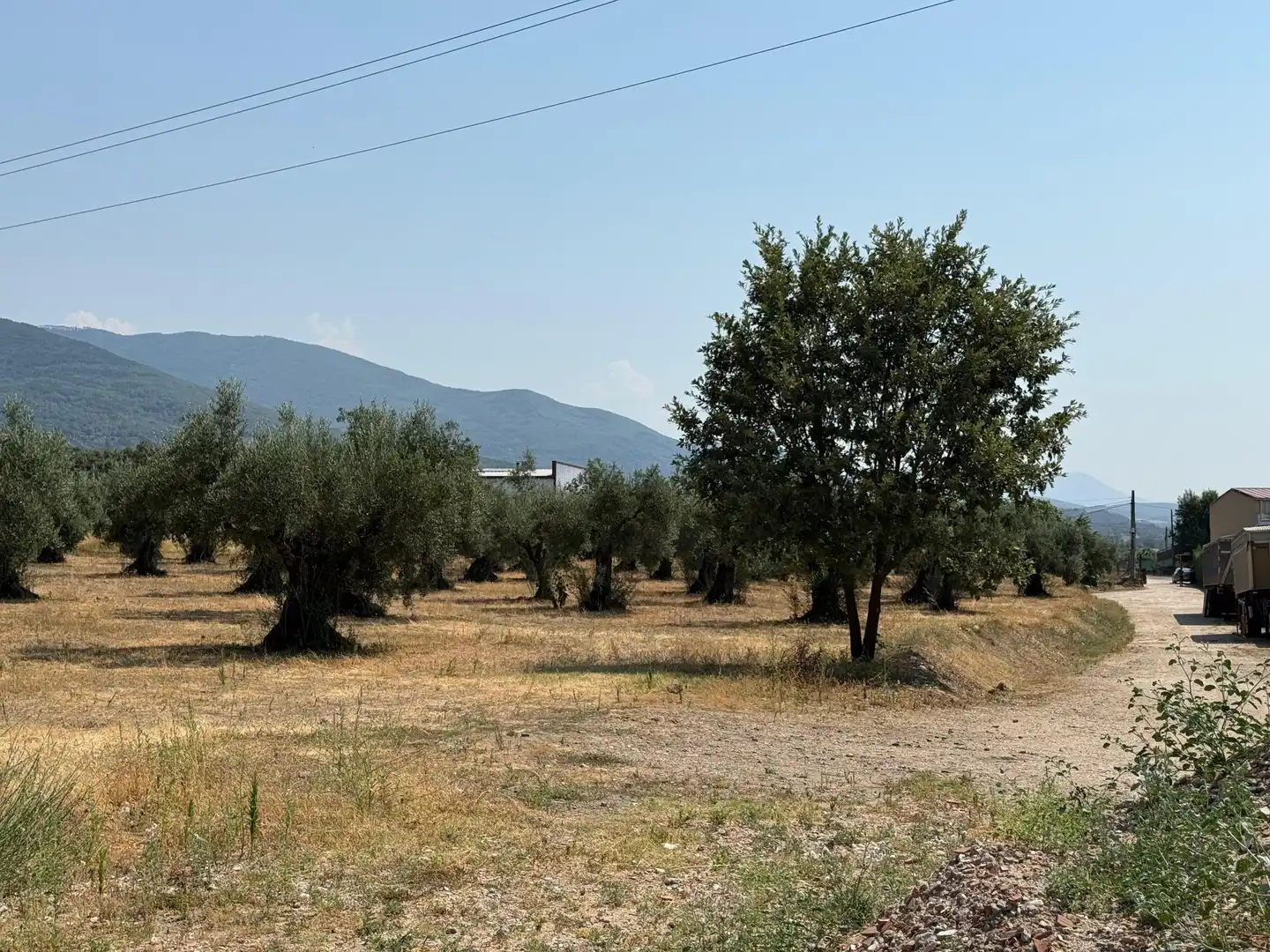 Terreni e lotti in vendita a Candeleda