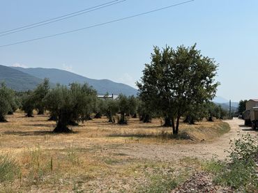 Terreno rustico in vendita a Candeleda
