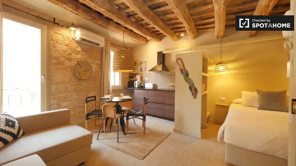 Appartamento con terrazza in affitto a Ciutat Vella, imagen 4