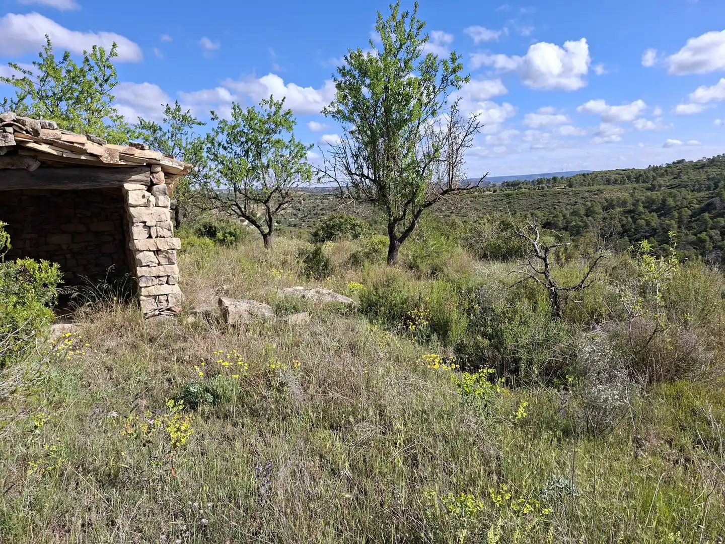 Finca rústica en venta en Vilalba dels Arcs