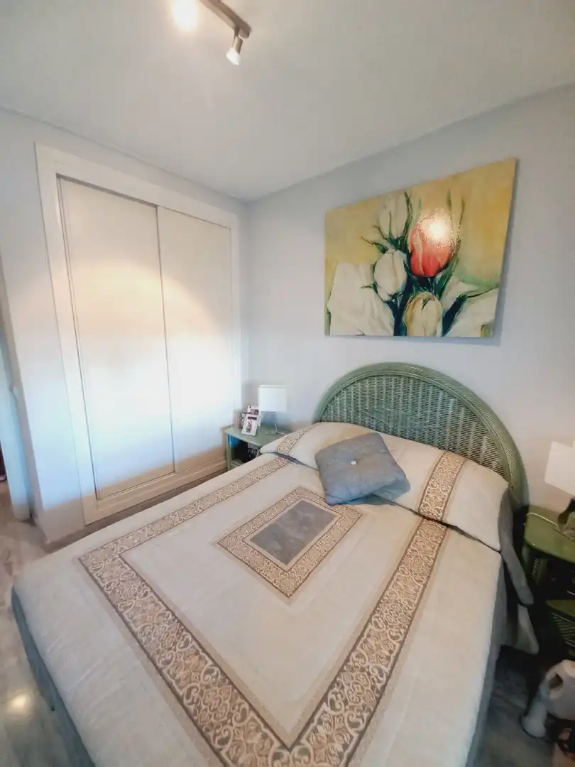 Piso con terraza en venta en Calle Río Amazonas 10, imagen 24