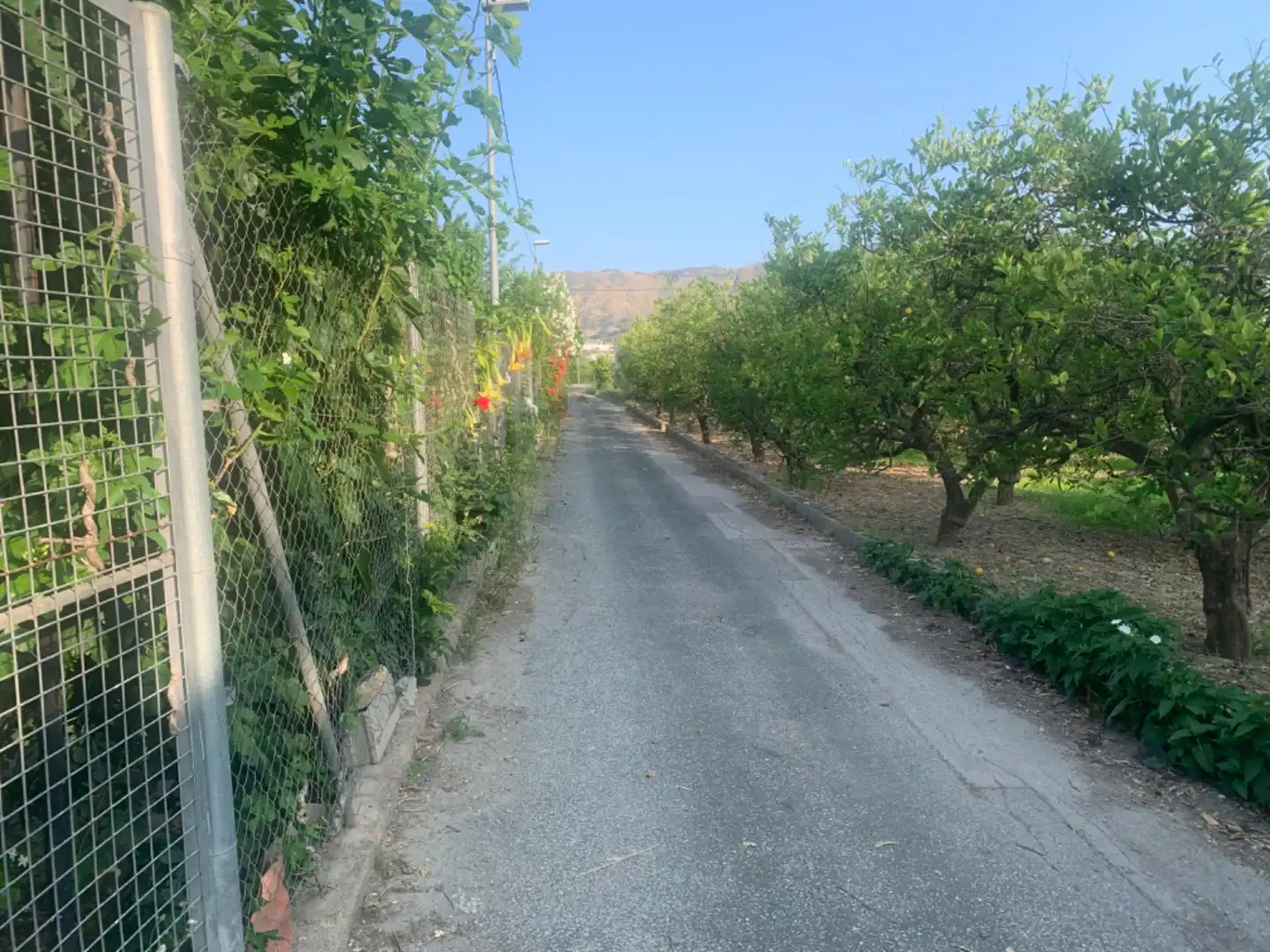Finca rústica en venda a Alquerías