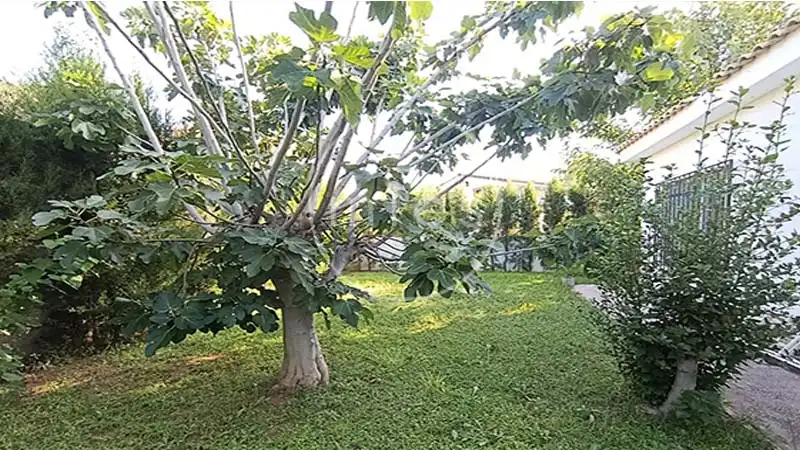 Villa avec jardin à vendre à MALLA 0, imagen 34