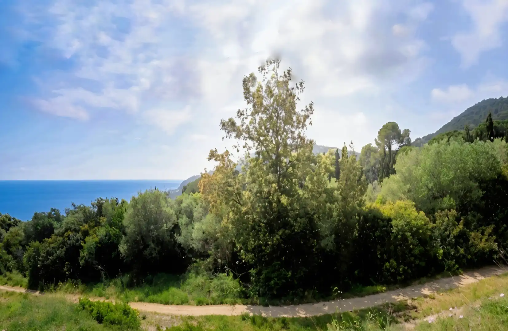 Terreno en venta en Begur