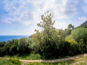 Terreno rustico in vendita a Fornells - Aiguablava