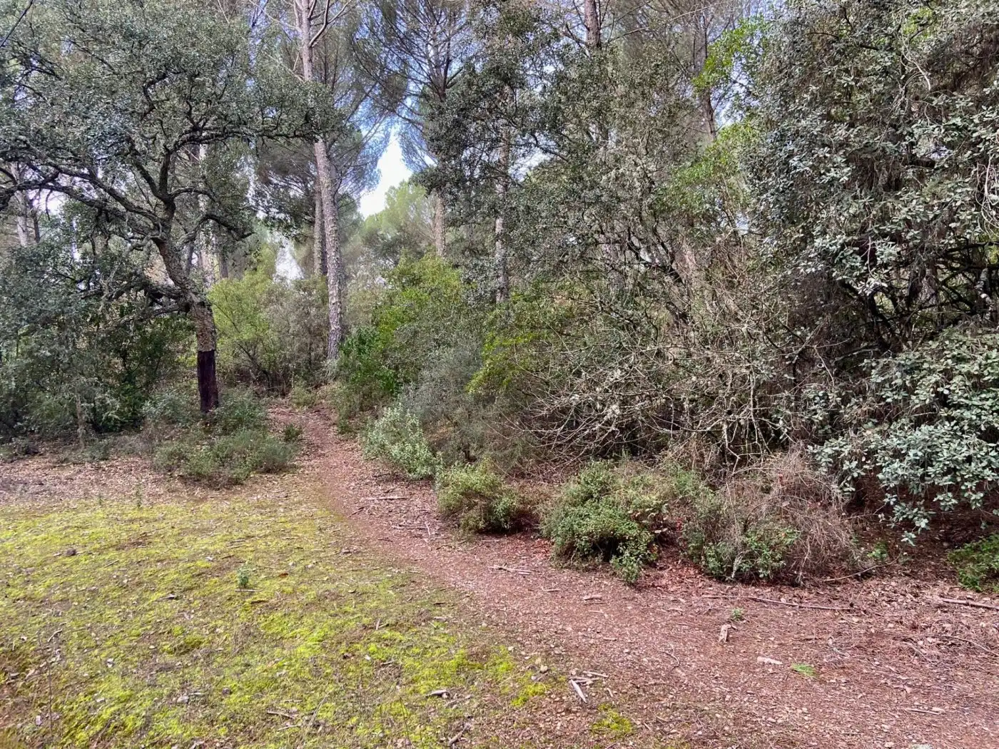 Finca rústica en venta en Córdoba