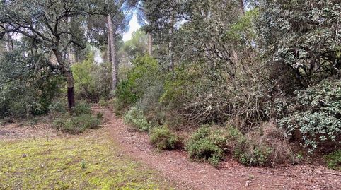 Foto 2 de Finca rústica en venta en Santa Maria de Trassierra, Córdoba Capital