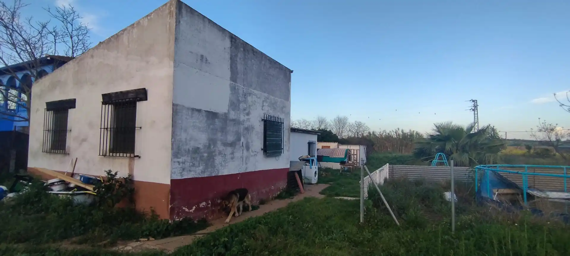 Vista exterior de Finca rústica en venda en Aznalcázar