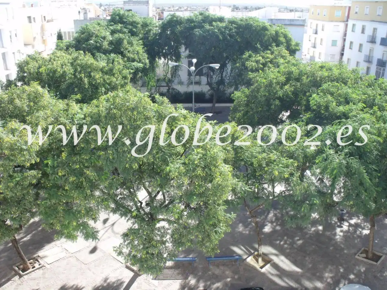 Jardín de Piso de alquiler en San Fernando con Trastero y Amueblado