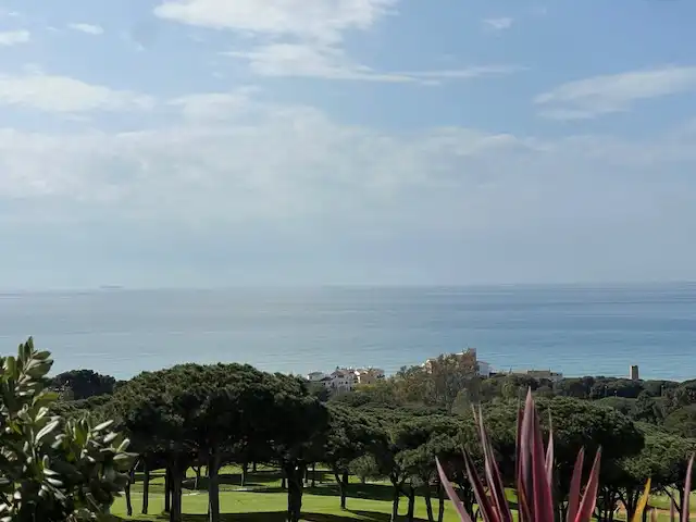 Jardí de Planta baixa en venda en Marbella amb Aire condicionat, Calefacció i Jardí privat